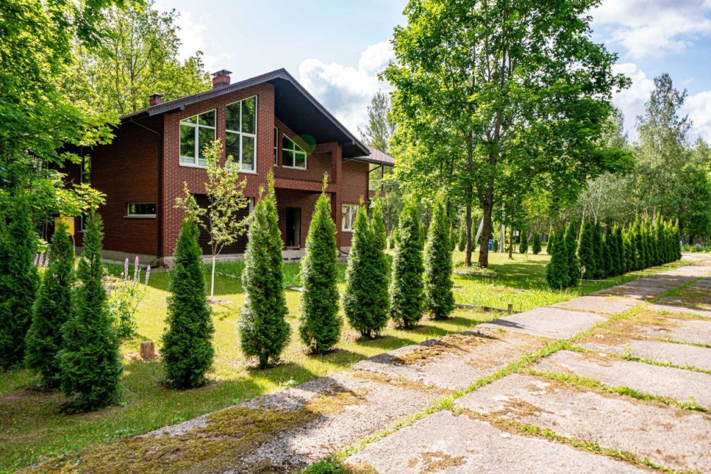 11d2d464-ee7a-47ef-95b2-9a6ddf6dd3d7 (1).jpeg