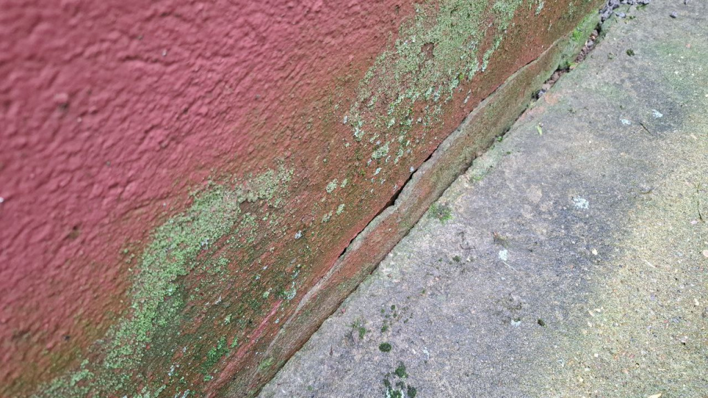 image-31-07-25-11-10-1.jpeg image-31-07-25-11-10-1.jpeg