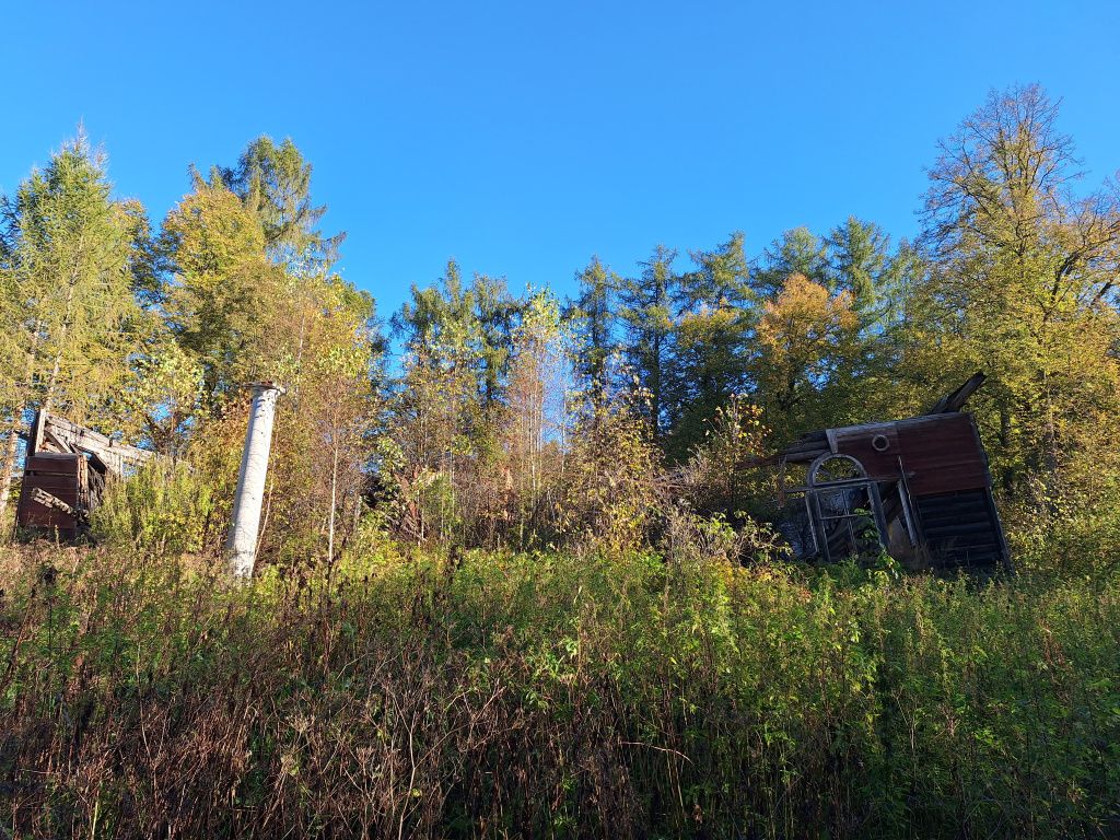 20250930_093739.jpg 20250930_093739.jpg