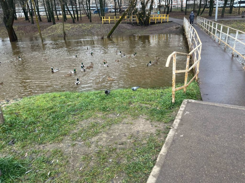 photo_2025-11-28_12-57-57.jpg photo_2025-11-28_12-57-57.jpg