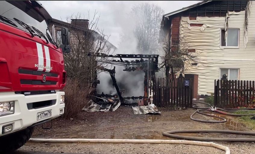 У истринского ветеринара сгорел дом: идёт сбор помощи