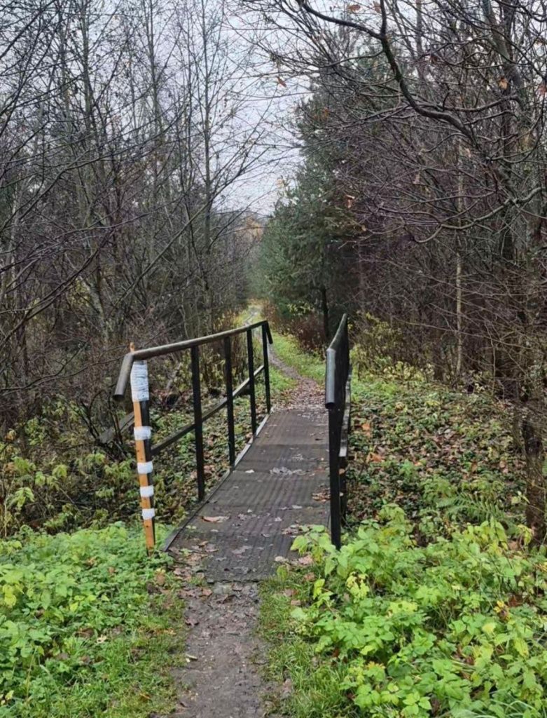 тропа ядрошино1.jpg