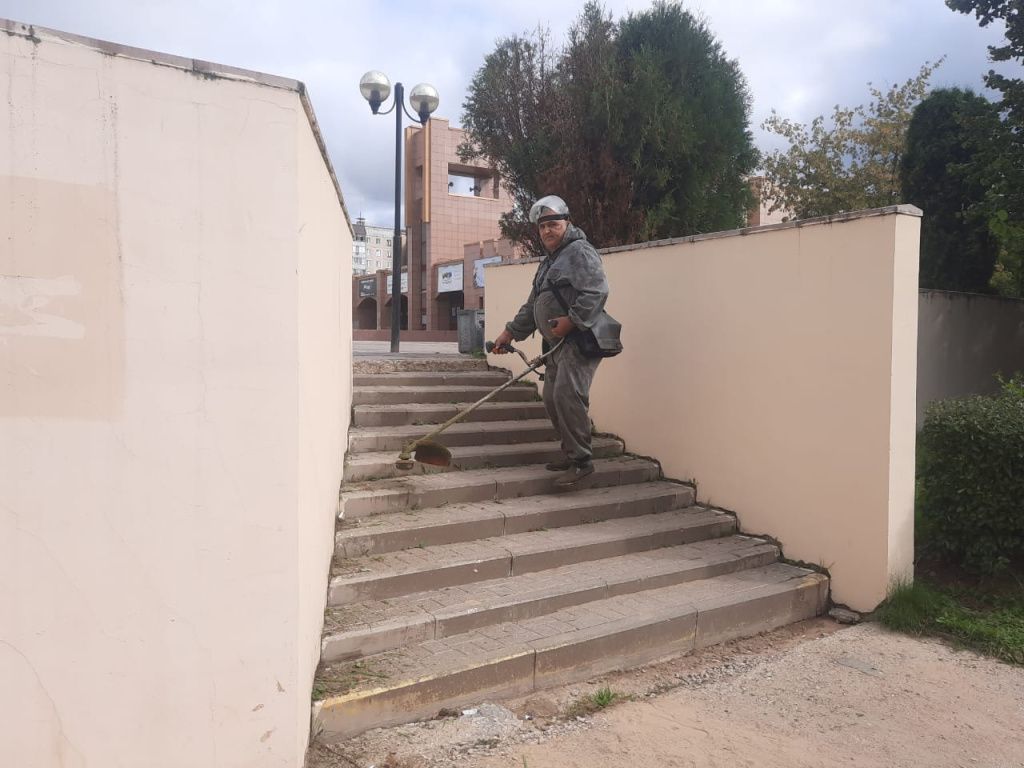 мир покос травы.jpg