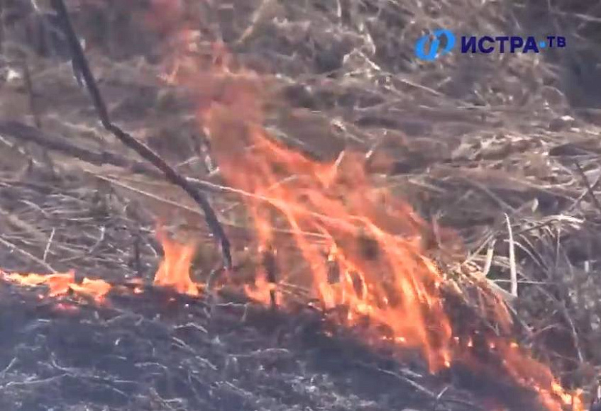 Первый пожар ликвидирован на территории лесного фонда вблизи Дедовска