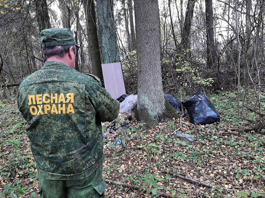 Лесные инспекторы усилили патрулирование лесных массивов