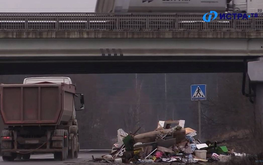 Миллионы на мусор: в Истре за счёт бюджета вычистят свалки