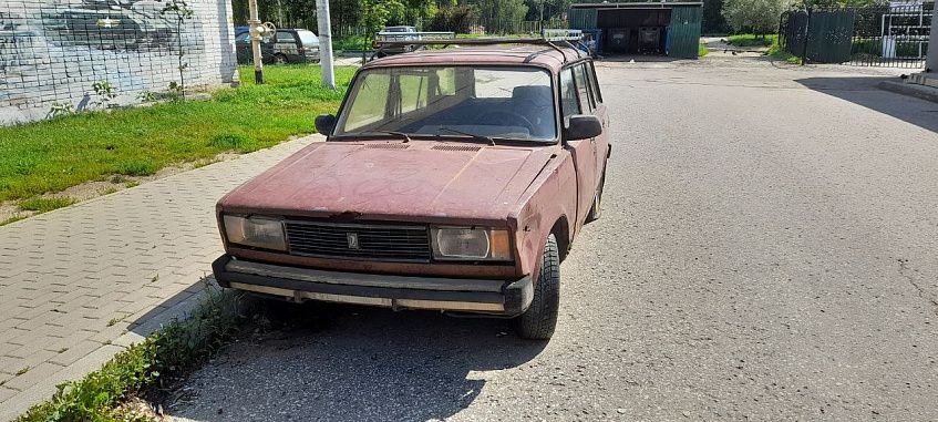 Истринцы просят губернатора решить проблему с автохламом в городе