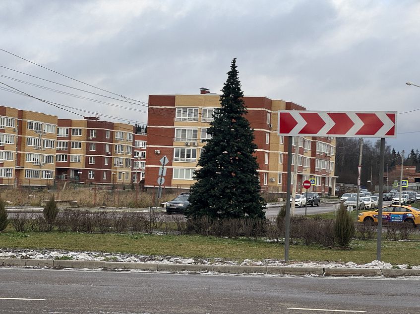 В Малой Истре живую сосну заменили на пластиковую ель