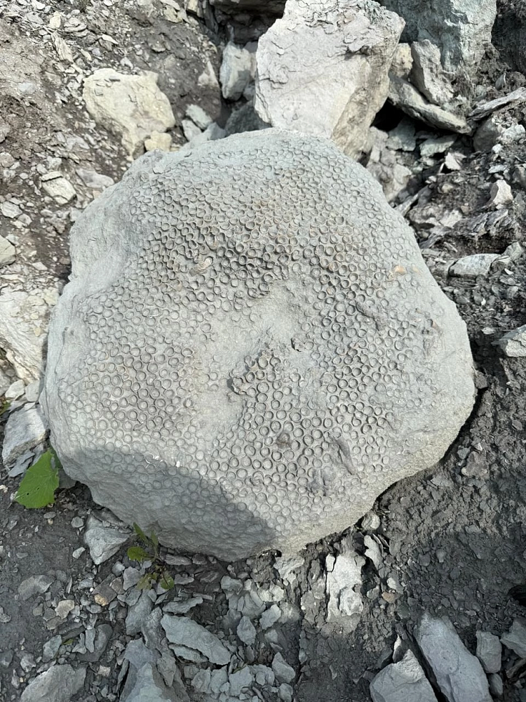 В Музее истории мироздания появился символ вечности