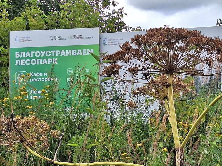 Больше 180 миллионов направят на модернизацию зоны возле Соколки