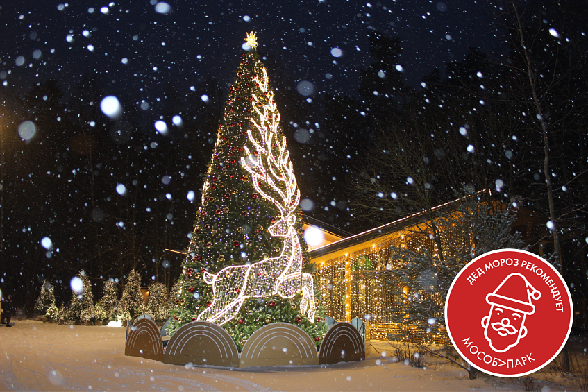 «Дед Мороз рекомендует» «Шишкин лес»