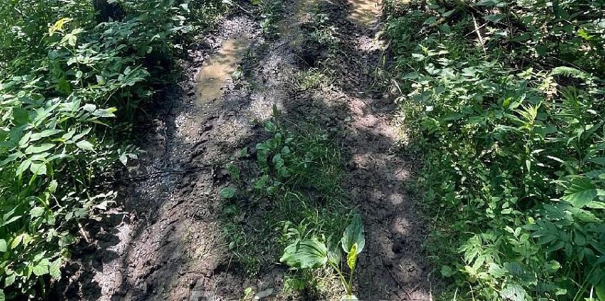 Жители Еремеево просят благоустроить тропинку до станции