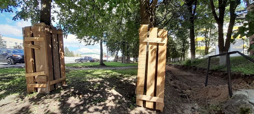 Не все деревья пойдут под топор в ходе благоустойства центра Истры