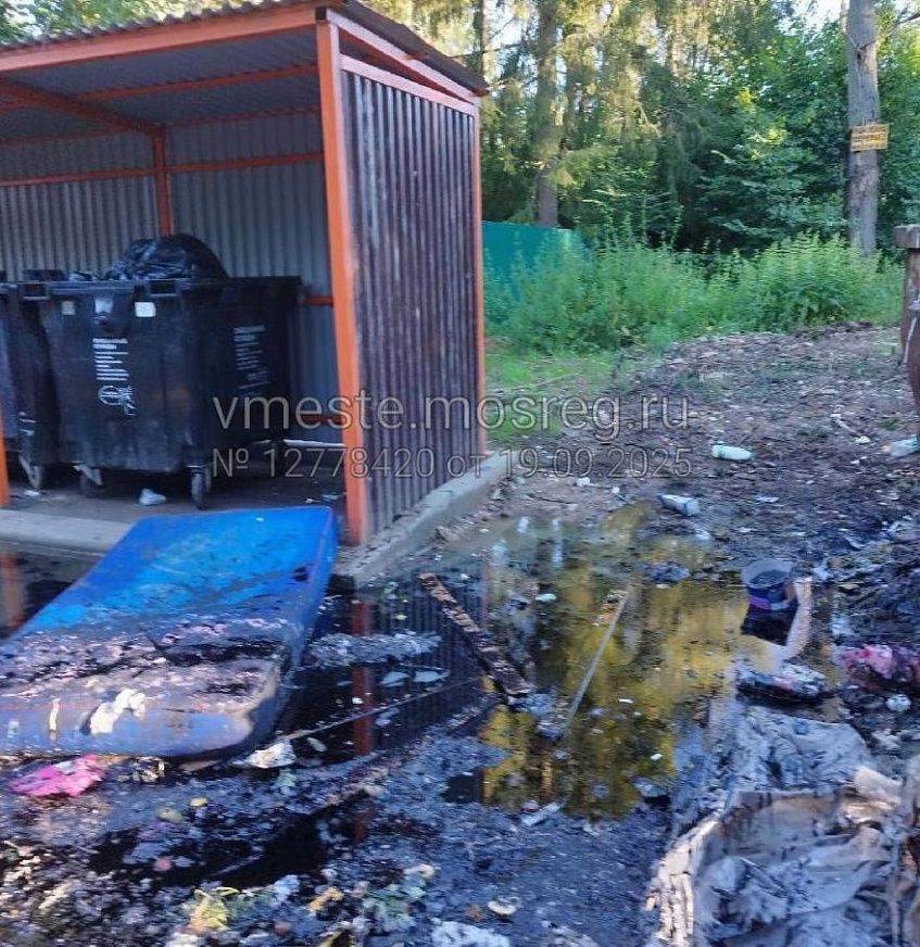 МСП у кладбища в деревне Петушки стала рассадником антисанитарии