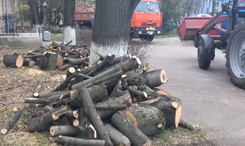 В округе вырубили порядка семидесяти аварийных деревьев