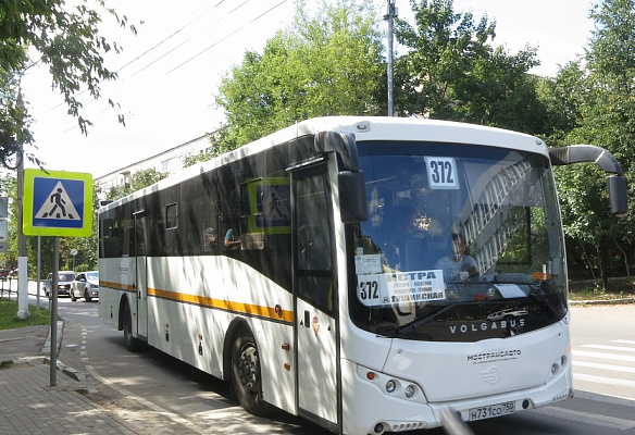 Все коммерческие автобусы в Истре соответствуют региональным стандартам