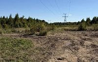 Свалка в Вельяминово ликвидирована