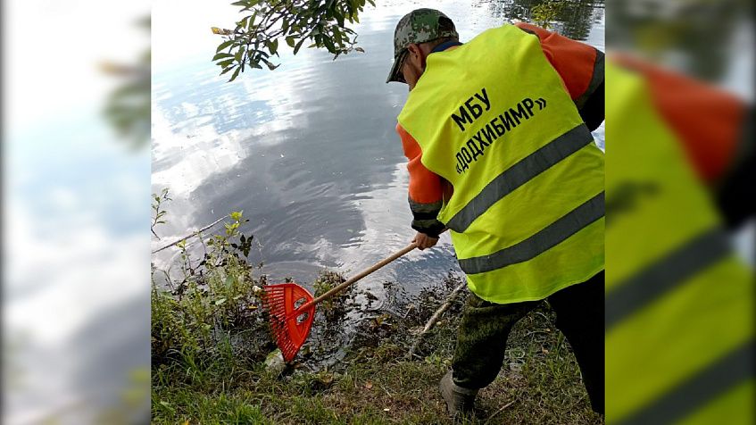 На санитарной очистке прудов удалось ощутимо сэкономить