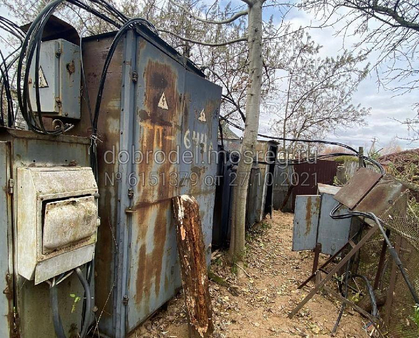 «Крематорий» в деревне Борзые: на местной электроподстанции массово гибнут животные