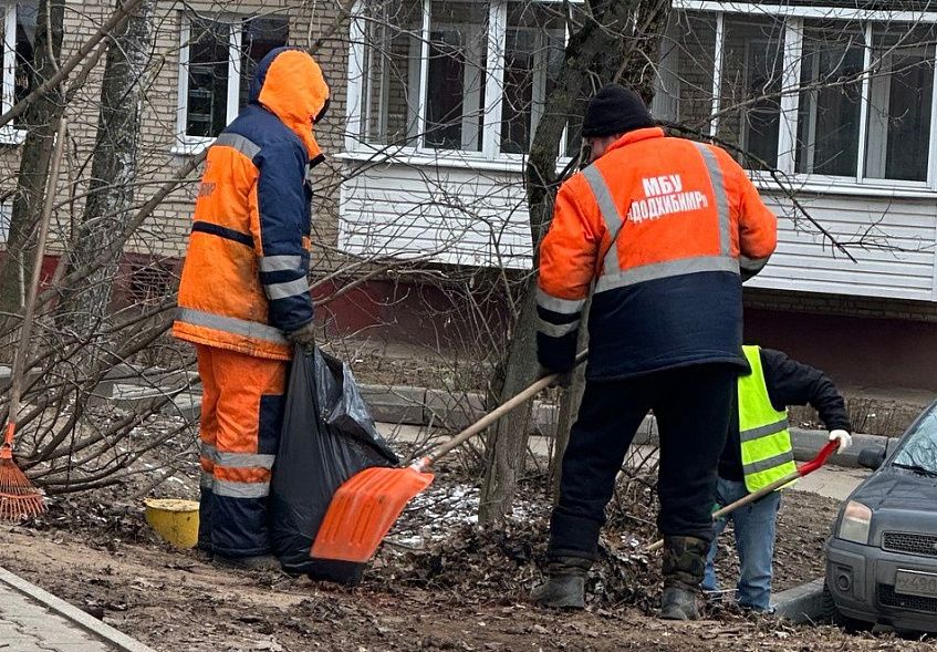 Зима — не время для безделья: дворников массово бросили на уборку листьев