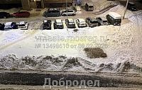 Снегоуборщики безвозвратно уничтожили сирень, высаженную в ходе благоустройства в Истре