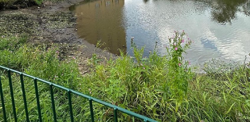 Пруд в Павловской Слободе: вода ушла, остался мусор