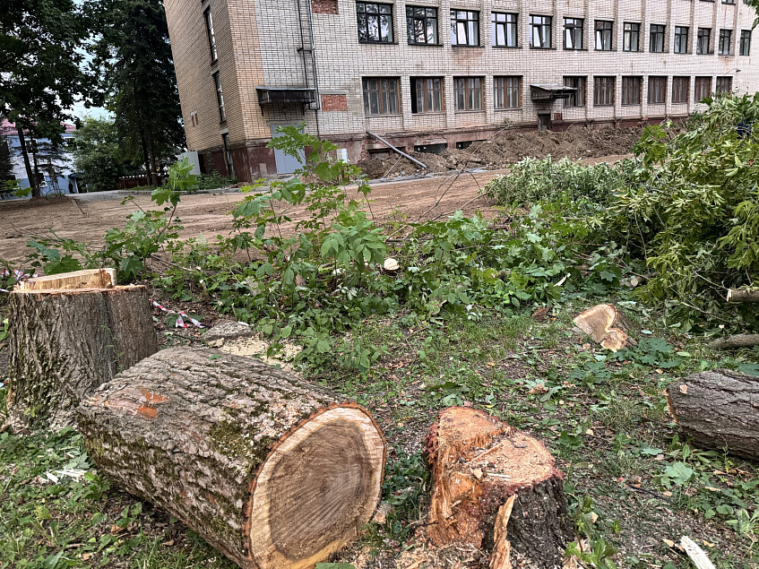 Дедовск лишился ещё части своих зелёных лёгких