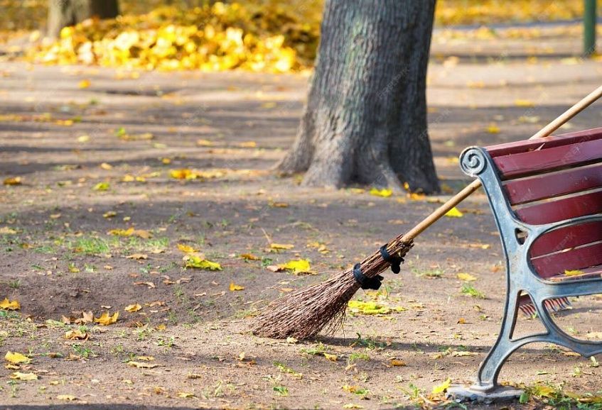 Содержание лесопарка «Шишкин лес» обойдётся бюджету в 53 миллиона