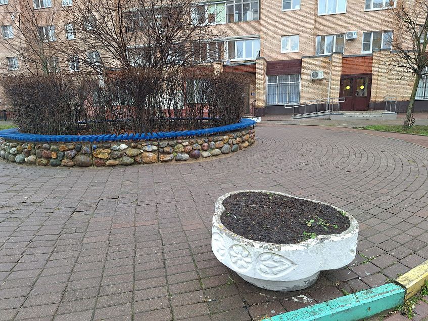 Татьяна Витушева: «Сквер у Истринского ЗАГСа оставляет желать лучшего» 