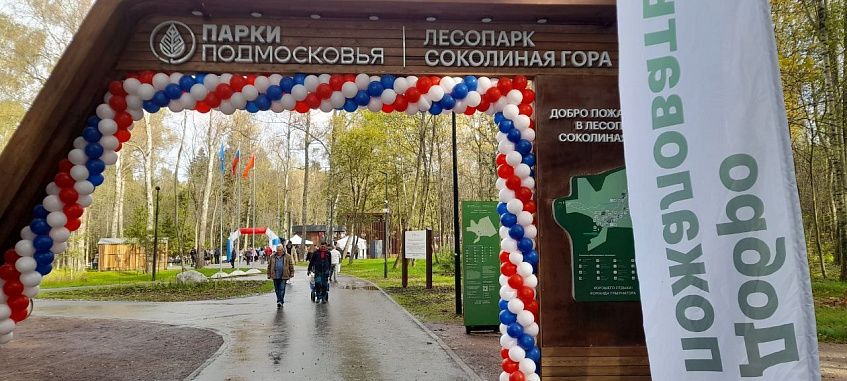 В благоустройство лесопарка «Соколиная гора» дополнительно вложат 76 миллионов