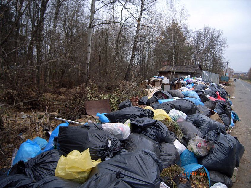 Контейнерная площадка в д. Борзые переместилась от большого к малому