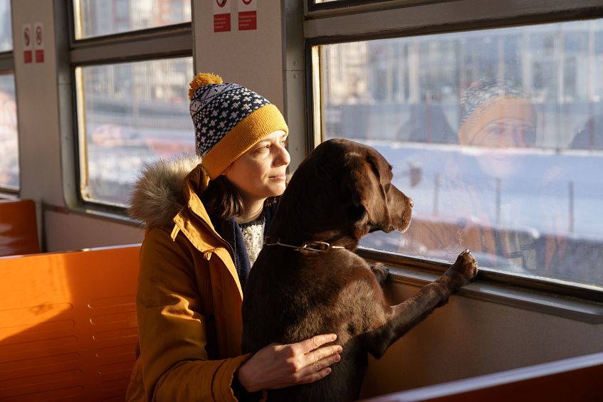 «Мострансавто» уточнил правила перевозки животных в автобусах Подмосковья