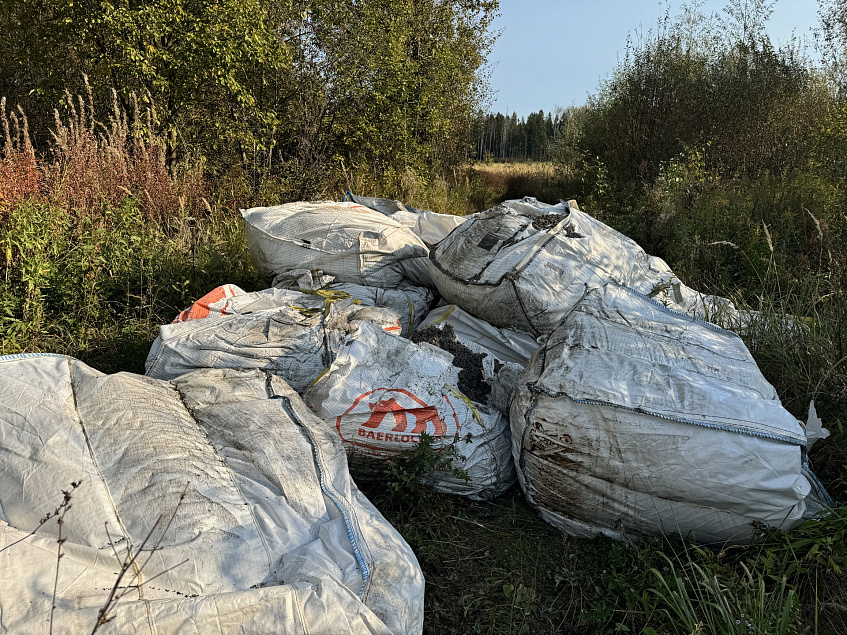 В лесу рядом с Дедовском  убрали мусор