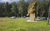Пустырь у «Соколки» позеленел