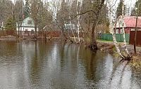 Пруд в Снегирях стал чище
