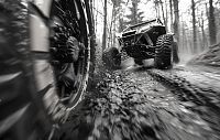 «Квадроциклы в лесу обеспечивают удобство перемещения отдыхающих»