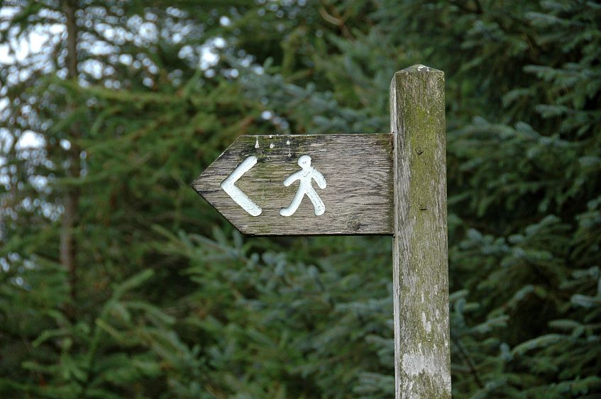 Лыжероллерную трассу на «Соколке» оборудуют специальными табличками 