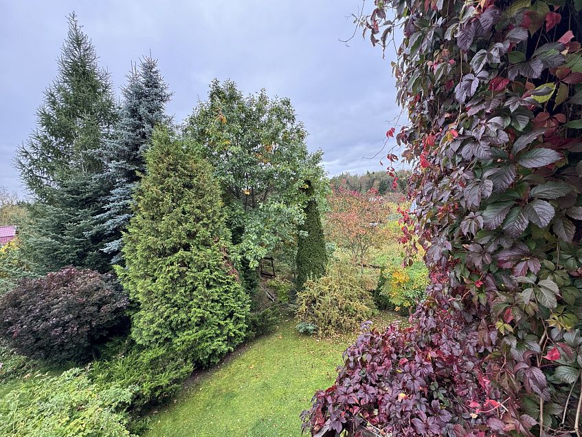 Первые выходные октября порадуют  истринцев теплом