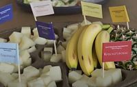 Олег Сирота пообещал вырастить  в Истре бананы  