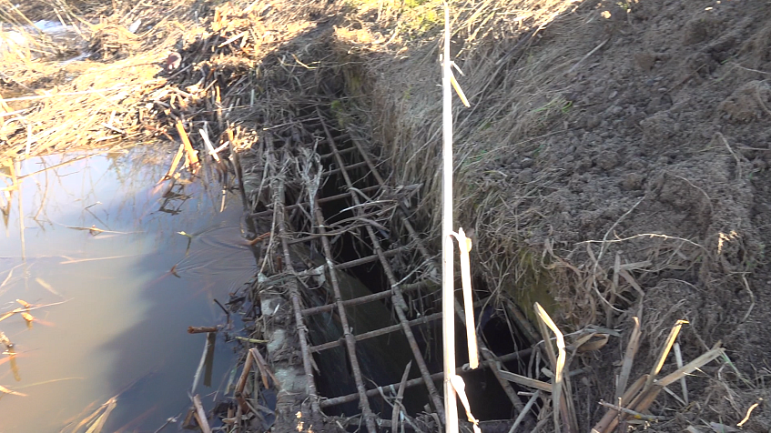 В Филатово размывает плотину. Жители боятся лишиться единственного въезда в деревню