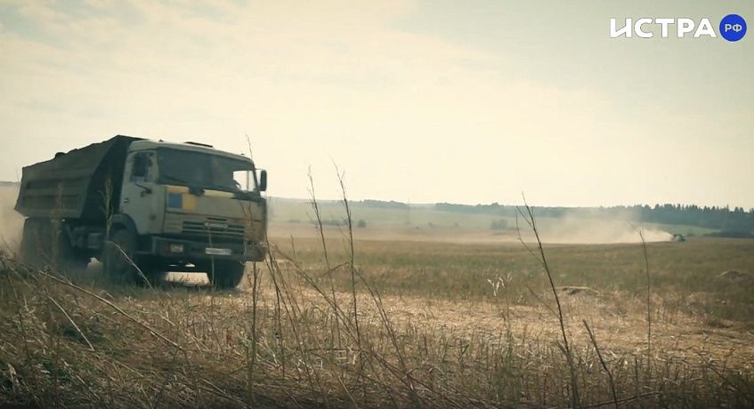 Вонь от куриного помёта продолжает отравлять жизнь жителям Глебовского