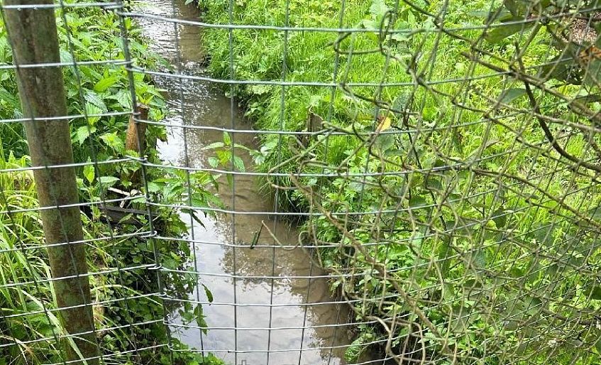 В Дарёнке почернела вода