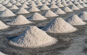 Почти 2,5 тысячи тонн соли закупили для Истринского округа на зиму