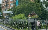 Цветов в Истре хватило не всем