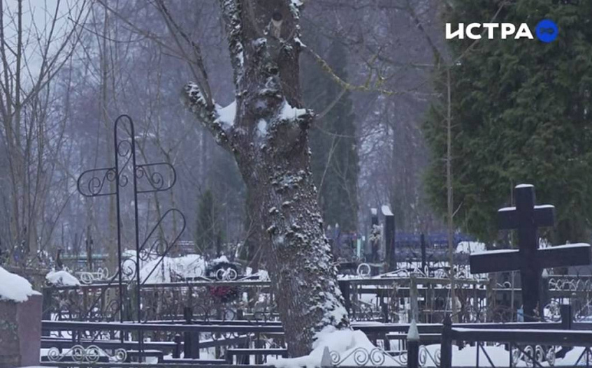 В Истре ищут подрядчиков для уборки аварийных деревьев с кладбищ