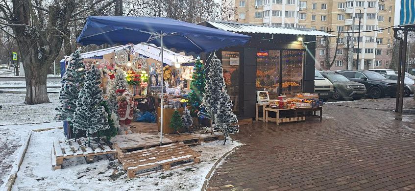 Частный ларёк на частном газоне в Дедовске признали законным