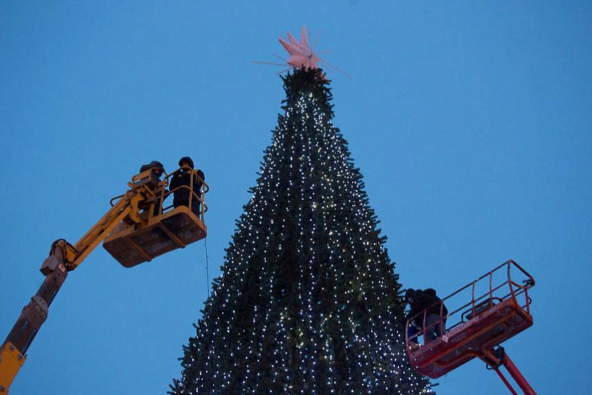 В Истре установят 20‑метровую новогоднюю ель