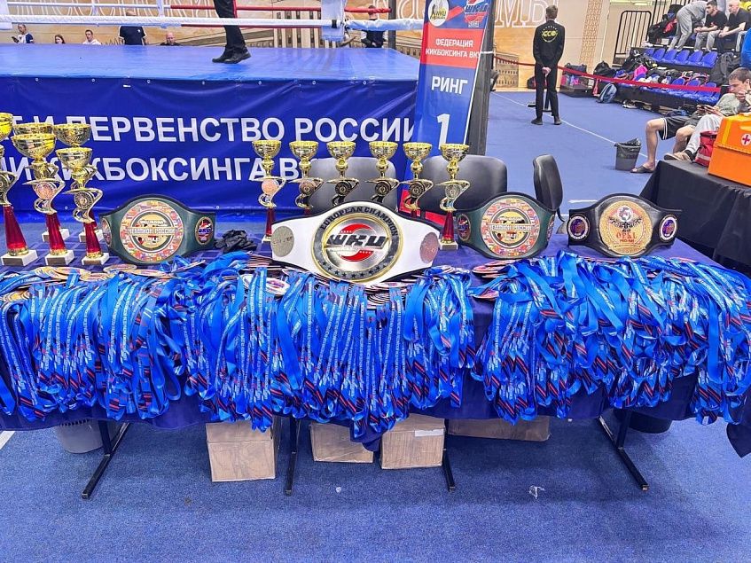 Кик-боксёры из Павловской Слободы собрали урожай медалей на Чемпионате России