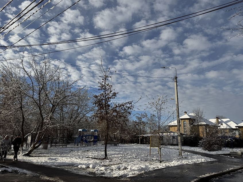 Снегири остались без «Прессы»