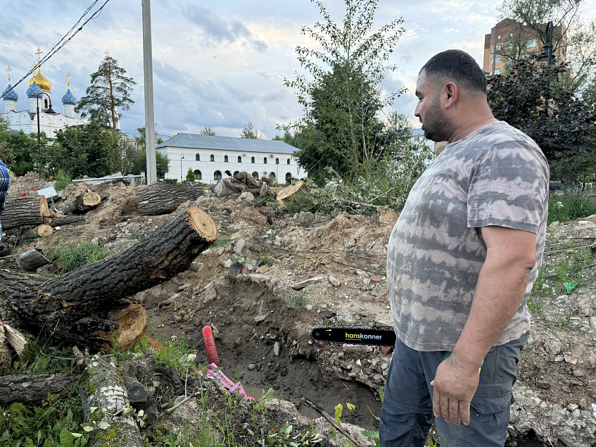 В Дедовске деревья помешали благоустройству